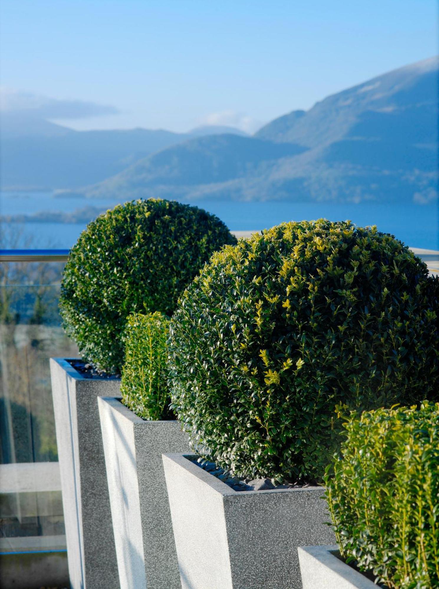 Aghadoe Heights Hotel & Spa Killarney Eksteriør bilde Boxwood